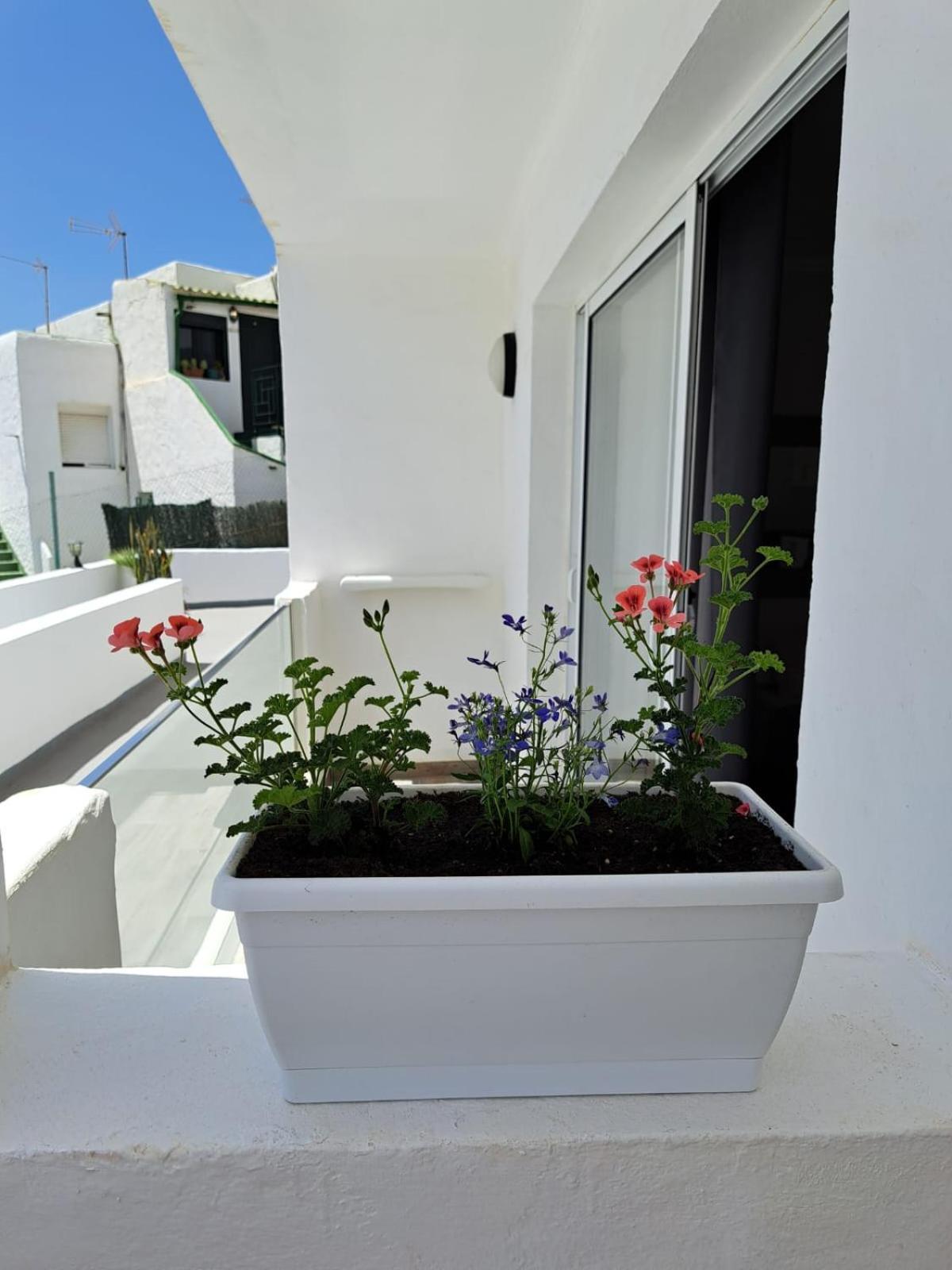 Casa Esterlita Тарахалехо Екстериор снимка
